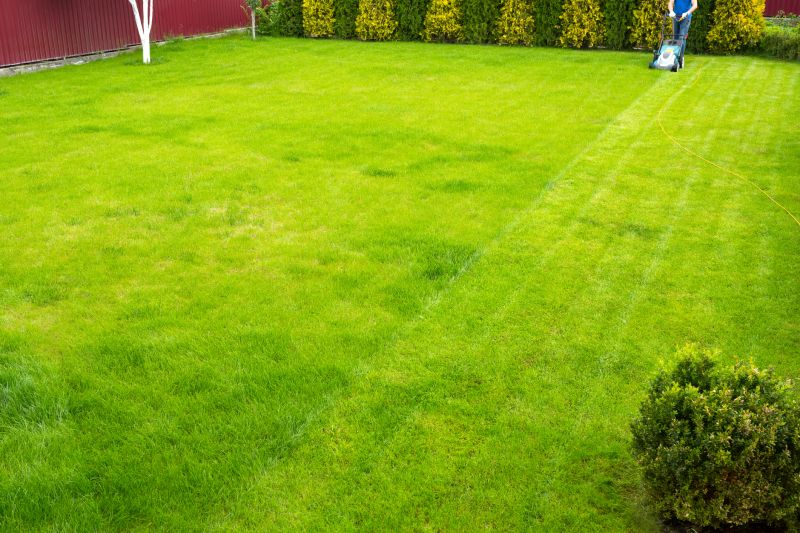 Lawn Maintenance Providers